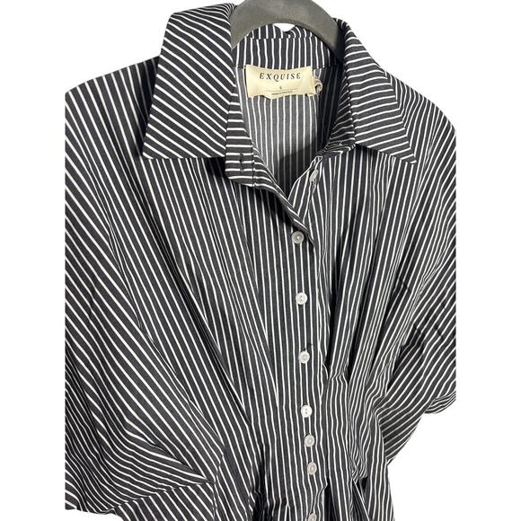 NWT Anthropologie Exquise The Tobie Button-Front Pleated Shirt Dress Mini Small - Picture 6 of 8